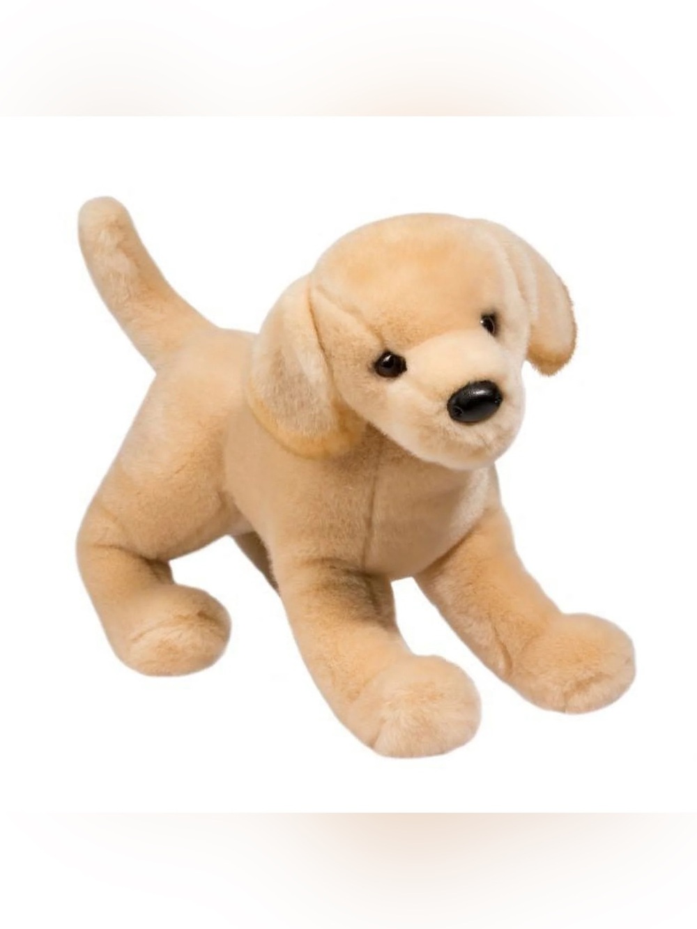 Douglas Spankie Yellow Lab